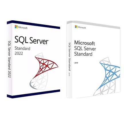רישיון לשרת SQL 2019/2022 גרסת סטדנרט מיקרוסופט Microsoft SQL Server 2019/2022 Standard Edition License